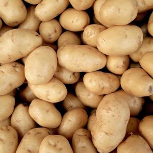 A close-up view of fresh organic potatoes piled together, showcasing natural texture and freshness.